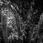 Broken....HFF... (Explore)