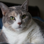 Happy 11th birthday, Normandy !