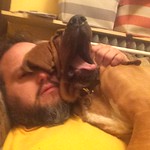 #bloodhound