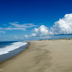 Dhanushkodi beach