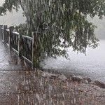 Seriously Torrential