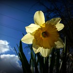 sometimes hail...sometimes sun...