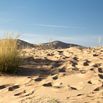 Kelso Dunes 2