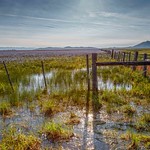 camas prairie-05-12-16-41
