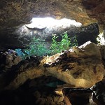 A Natural Nursery Garden in Ana Te Pahu Cave or the Cave of Bananas, Rapa Nui (Easter Island), Chile, Polynesia, Oceania.