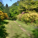 Charborough Estate 2015-05-162 of 22