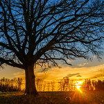 Fire Like This & The Scout Part III