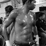 Success demands singleness of purpose.-Chowraiooi Gym-Home of the Boxer -www.chowraiooimuaythai.com