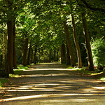 Germany Bayern / N&uuml;rnberg - Westfriedhof