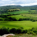 Northumberland View (02)