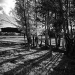 Mormon Row, Grand Teton National Park. October, 2018.