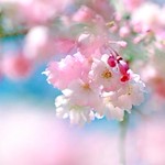 Pinned to #inzunzainspiration on Pinterest