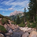SF_ 01A_00017 - The small steam of Rio du Petit Mont slides accross the forest, Gruy&egrave;re region - Switzerland