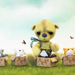 button does not like kitties