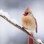 Spring is coming....