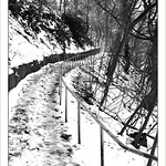 Footpath Vanishing Point