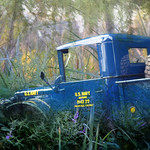 Swamp Reconnaissance