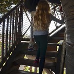 Going Up The Swiss Family Robinson Treehouse