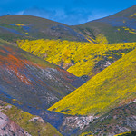 God Spilled Buckets of Paint! Carrizo Plain Temblor Range National Monument Wildflowers Superbloom Elliot McGucken Fine Art Landscape Photography! California Spring Wild Flower Super Bloom! Nikon D850 & AF-S NIKKOR 28-300mm f/3.5-5.6G ED VR from Nikon!