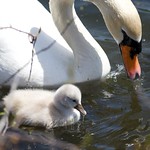 Mamas teachings.....