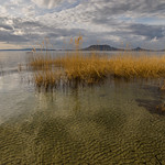 Soft waves / Szelid hull&aacute;mok