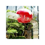 S&eacute;rie du 07 06 18, S&eacute;oul, Day 3