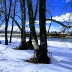 Bow River Pathway YYC