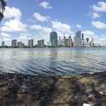 Miami Skyline