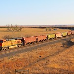 Racing across the dry Panhandle