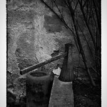 Silent All These Years