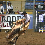 Bronc Riding