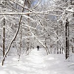 En raquettes au Centre de plein air de Beauport, Qu&eacute;bec
