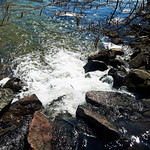 Spring Awakening...(02)