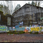 Abandoned Saw Mill Near Courtenay, BC