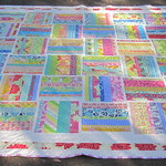 Fenced In - the big picture