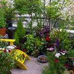 Best seat in the house ~ SOOC ~ HBM!