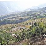 Longi rice terrace- Yangshou China