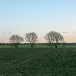 WPG 12 month Challenge March