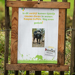 2016-08-09-12h36m07.BL7R8164