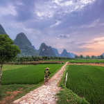 Yangshuo Cyclist