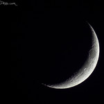 Cresent Moon