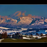 It's over ? 4L8A4320