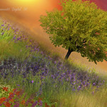 Colours are brighter when the mind is open. (Adriana Alarcon)