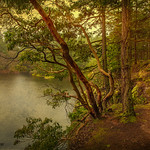 Last Night the Rain Spoke to Me Slowly.....