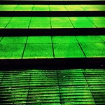 The Green Steps