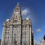 Liver buildings