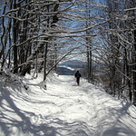 lomb alag&uacute;t / out of the tunnel