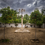 Soles de Naranjos (Color)