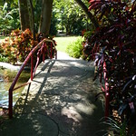 Sunken Gardens_008 - 25 April 2013