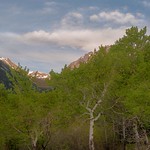 Aspen nearing Endovalley dawn
